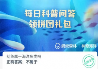鱿鱼属于海洋鱼类吗 神奇海洋11月14日答案