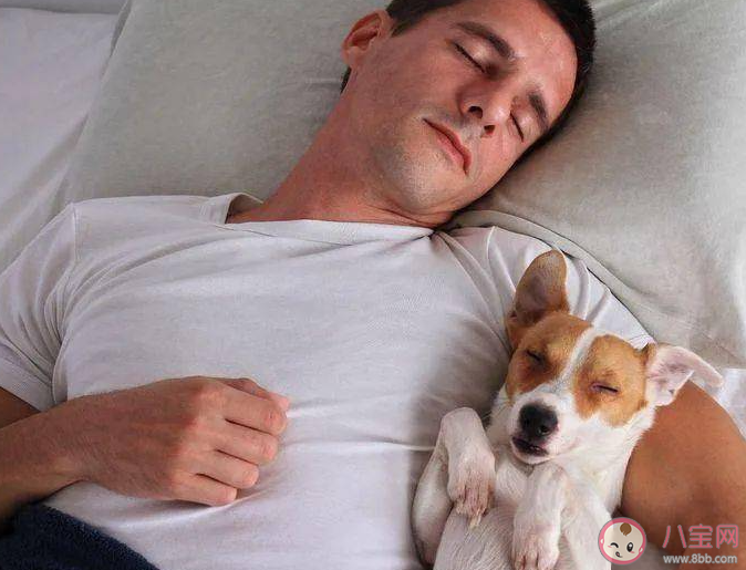 睡觉就能减体重和腰围吗 睡觉时能减肥吗