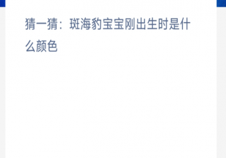 猜一猜斑海豹宝宝刚出生时是什么颜色 神奇海洋11月16日答案