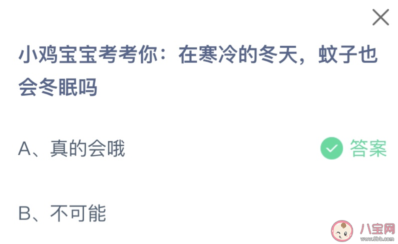 在寒冷的冬天蚊子也会冬眠吗 蚂蚁庄园11月18日答案