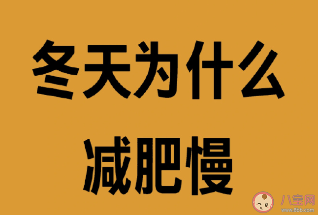 为什么冬天减肥这么慢 冬天应该怎么减肥