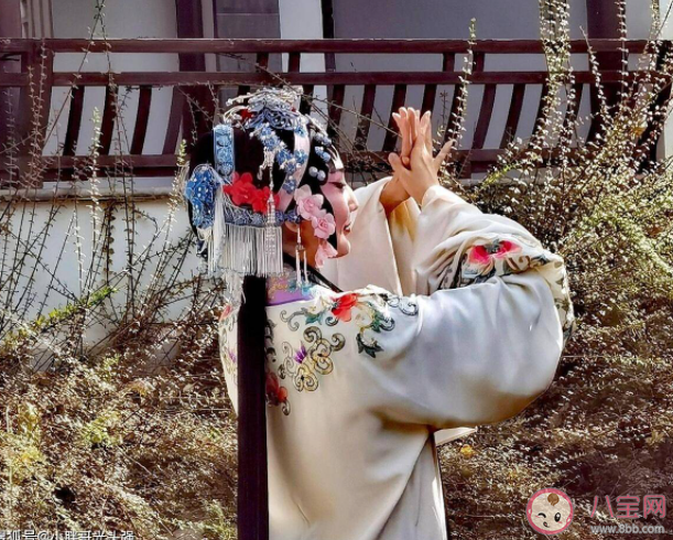 非遗小知识以下哪一项是京剧中旦角的经典指法 蚂蚁新村11月18日答案