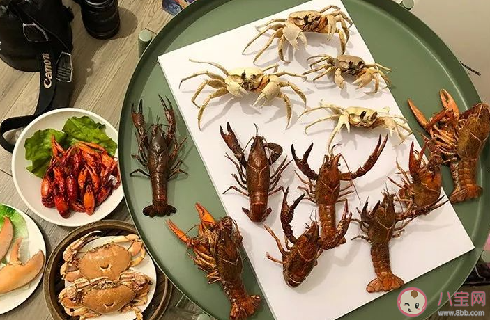 你知道吗人们常见的虾蟹属于什么 神奇海洋11月18日答案 你知道吗人们常见的虾蟹属于什么 神奇海洋11月18日答案