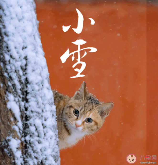 2023小雪节气品牌文案创意句子 2023小雪朋友圈的句子大全