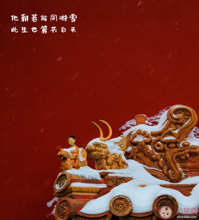2023小雪节气品牌文案创意句子 2023小雪朋友圈的句子大全