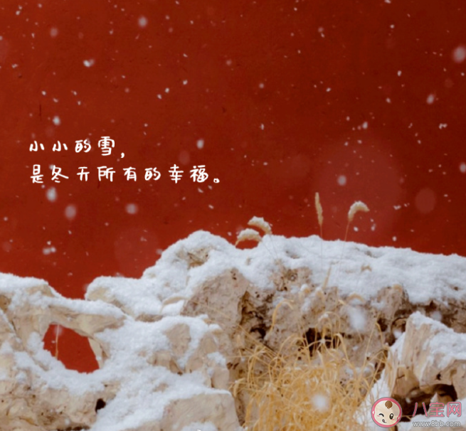 2023小雪节气品牌文案创意句子 2023小雪朋友圈的句子大全