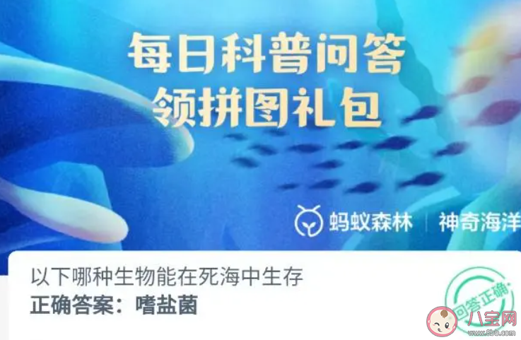 以下哪种生物能在死海中生存 神奇海洋11月22日答案