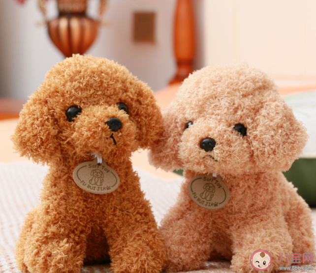 为什么毛绒玩具越卖越贵 年轻人为什么爱上毛绒玩具