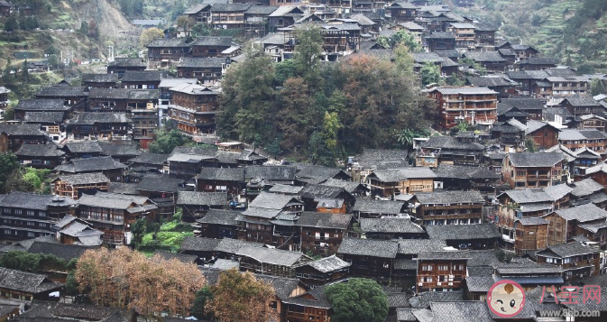 我国唯一没有平原的省份你知道是哪里吗 蚂蚁庄园11月24日答案