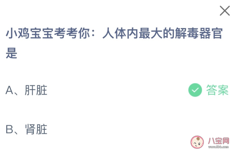 人体内最大的解毒器官是什么 蚂蚁庄园11月25日答案