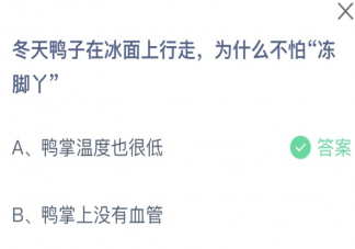 冬天鸭子在冰面上行走为什么不怕冻脚丫 蚂蚁庄园11月28日答案
