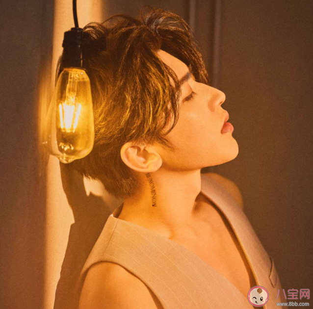 蔡徐坤新歌《Spotlight》歌词是什么 《Spotlight》歌曲歌词介绍 蔡徐坤新歌《Spotlight》歌词是什么 《Spotlight》歌曲歌词介绍