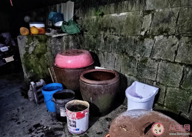 脚越臭踩的冬腌菜越香吗 脚踩的冬腌菜还能吃吗