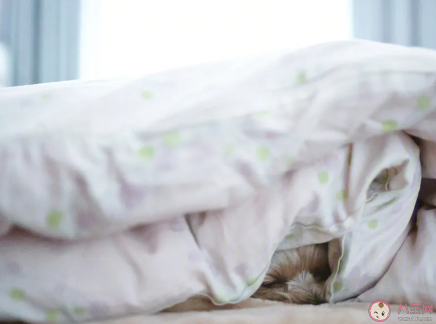 被子怎么盖更暖和 什么样的被子更适合你 被子怎么盖更暖和 什么样的被子更适合你