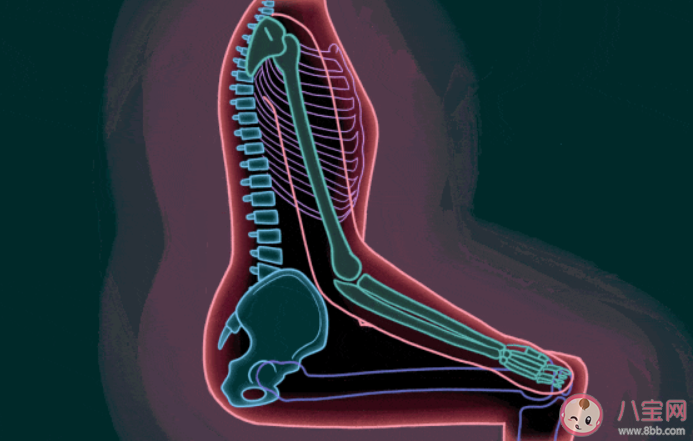 拍打臀部有助于防病吗 臀部能预示哪些健康问题