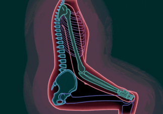 拍打臀部有助于防病吗 臀部能预示哪些健康问题