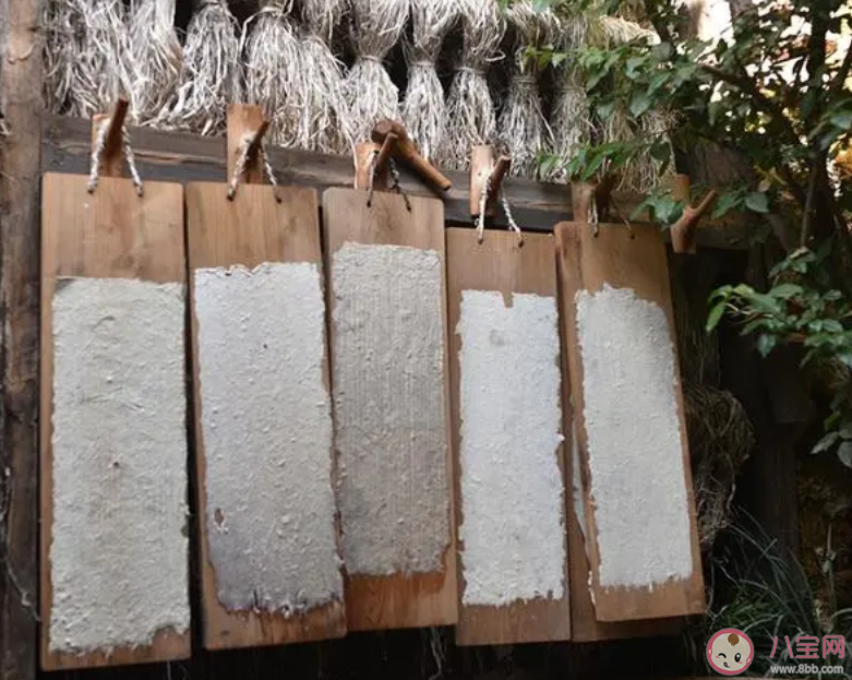 东巴纸制造技艺是我国哪个少数民族的传统工艺 蚂蚁新村12月12日答案 东巴纸制造技艺是我国哪个少数民族的传统工艺 蚂蚁新村12月12日答案