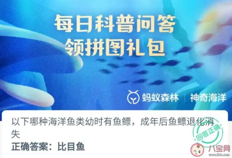 以下哪种海洋鱼类幼时有鱼瞟成年后鱼瞟退化消失 神奇海洋12月12日答案