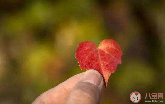 为什么年轻人越来越不喜欢人情世故 一定要懂人情世故吗 为什么年轻人越来越不喜欢人情世故 一定要懂人情世故吗