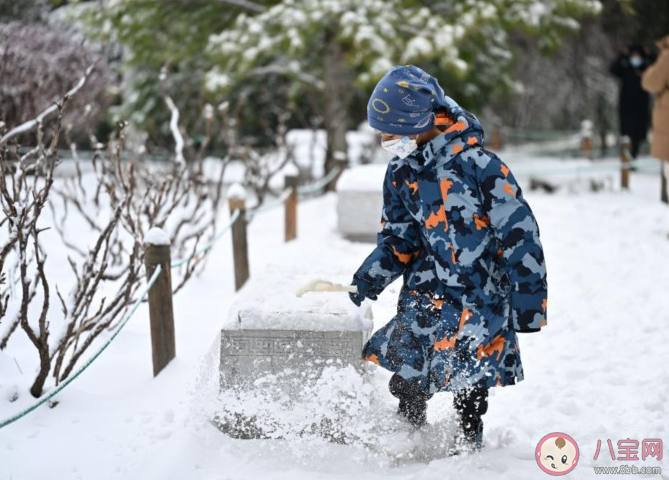 落尽琼花天不惜封它梅蕊玉无香描述的是哪种冬季景色 蚂蚁庄园12月14日答案 落尽琼花天不惜封它梅蕊玉无香描述的是哪种冬季景色 蚂蚁庄园12月14日答案