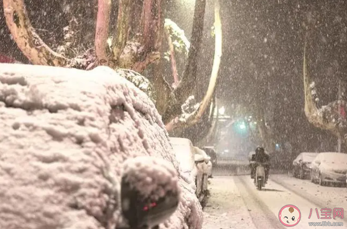 落尽琼花天不惜封它梅蕊玉无香描述的是哪种冬季景色 蚂蚁庄园12月14日答案 落尽琼花天不惜封它梅蕊玉无香描述的是哪种冬季景色 蚂蚁庄园12月14日答案