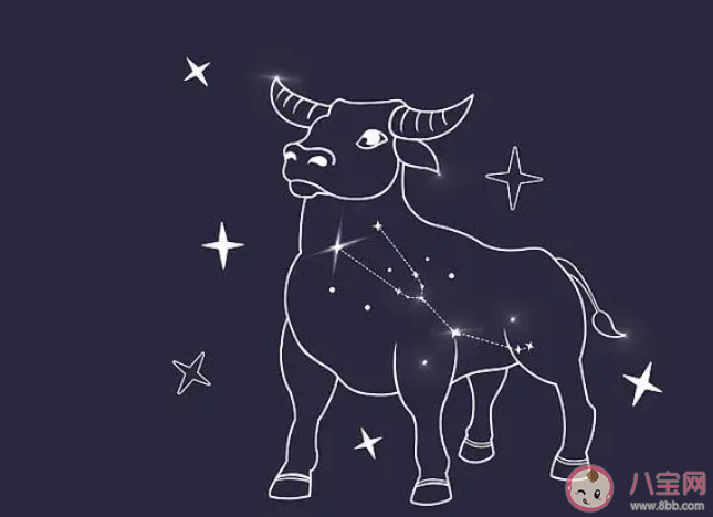 金牛座总是在默默观察吗 金牛座是怎样的性格 金牛座总是在默默观察吗 金牛座是怎样的性格