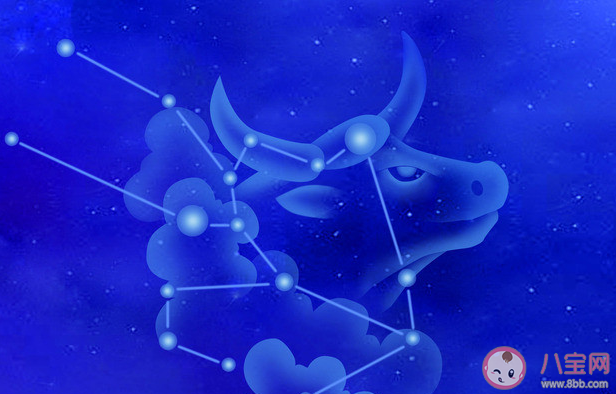 金牛座总是在默默观察吗 金牛座是怎样的性格 金牛座总是在默默观察吗 金牛座是怎样的性格