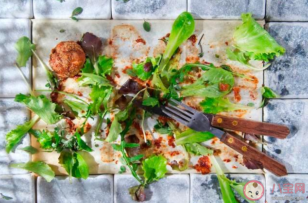 为啥有人吃了剩菜没事有人却进了医院 剩菜到底能不能吃