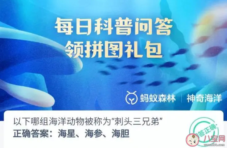 以下哪组海洋动物被称为刺头三兄弟 神奇海洋12月14日答案 以下哪组海洋动物被称为刺头三兄弟 神奇海洋12月14日答案