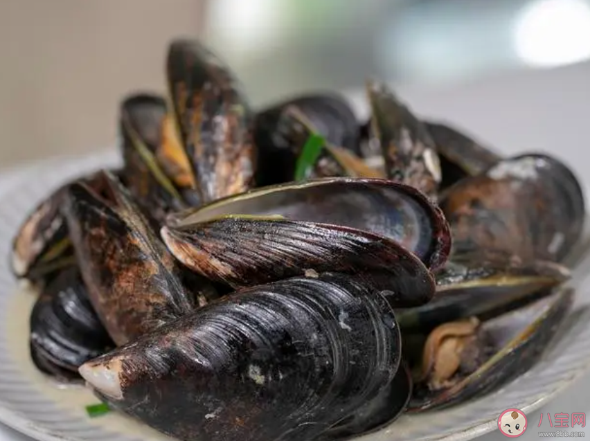 以下哪一项属于海洋软体动物 神奇海洋12月15日答案 以下哪一项属于海洋软体动物 神奇海洋12月15日答案