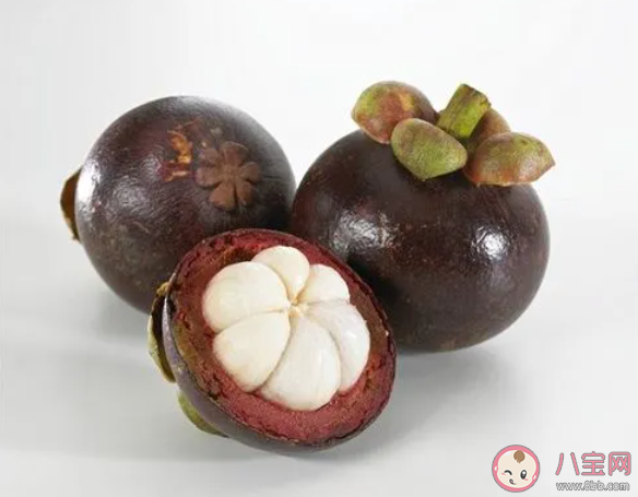 莽吉柿指的是哪种水果 蚂蚁庄园12月16日答案