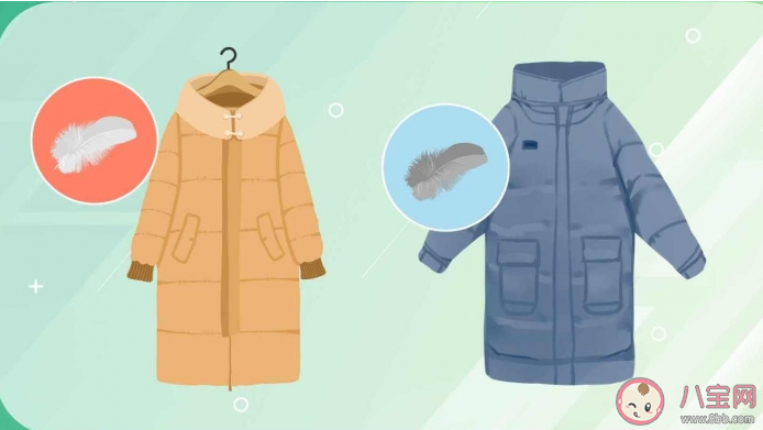 为什么没有鸡绒羽绒服 鸡绒能用来做什么 为什么没有鸡绒羽绒服 鸡绒能用来做什么