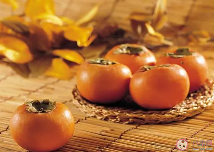 以下哪种水果有铁杆庄稼之称 蚂蚁庄园12月19日答案 以下哪种水果有铁杆庄稼之称 蚂蚁庄园12月19日答案