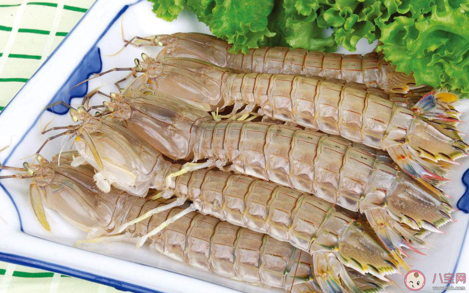 以下关于皮皮虾的说法哪个是正确的 神奇海洋12月19日答案 以下关于皮皮虾的说法哪个是正确的 神奇海洋12月19日答案