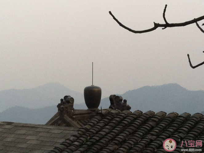 成语高屋建瓴的瓴指的是什么 蚂蚁庄园12月20日答案 成语高屋建瓴的瓴指的是什么 蚂蚁庄园12月20日答案