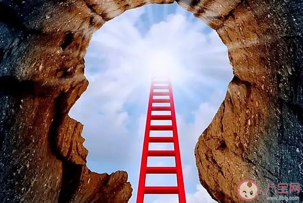 成语高屋建瓴的瓴指的是什么 蚂蚁庄园12月20日答案 成语高屋建瓴的瓴指的是什么 蚂蚁庄园12月20日答案