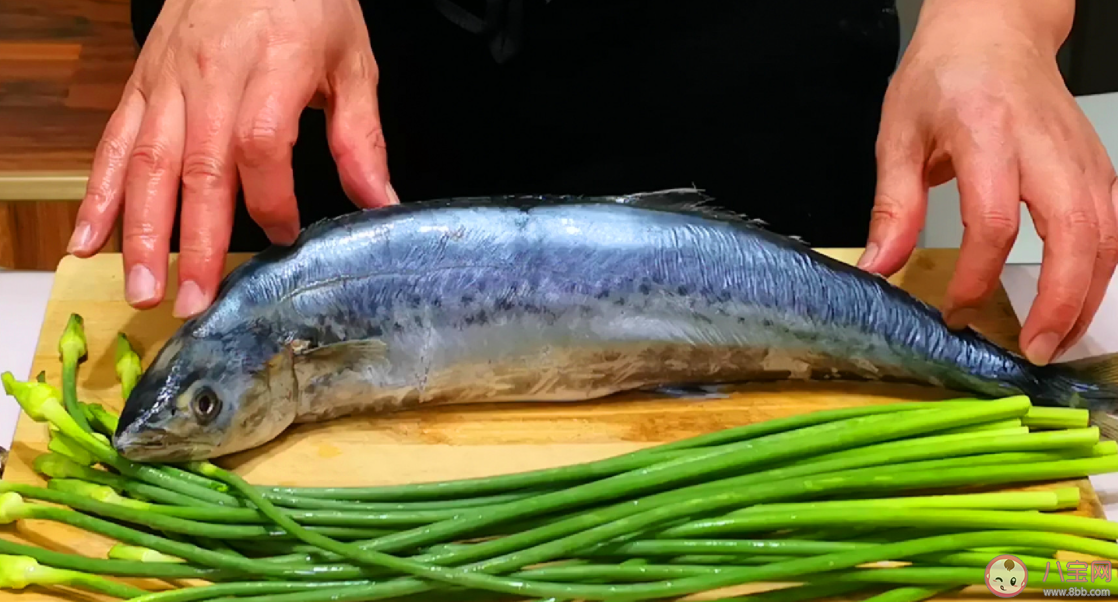 人们常说的鲅鱼是哪种鱼的俗称 神奇海洋12月20日答案 人们常说的鲅鱼是哪种鱼的俗称 神奇海洋12月20日答案