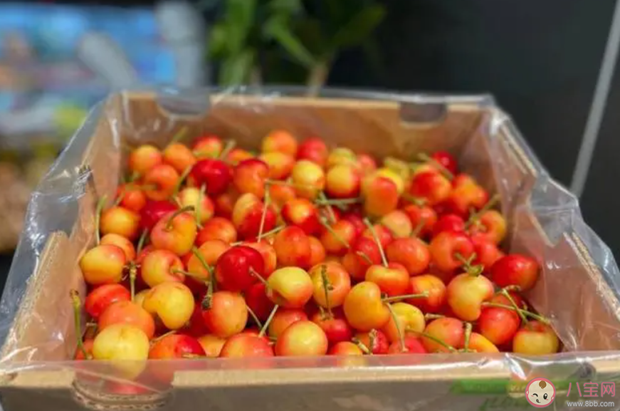 金车厘子身价暴涨300多元一斤是怎么回事 金车厘子有什么不同 金车厘子身价暴涨300多元一斤是怎么回事 金车厘子有什么不同