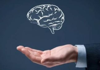 越是聪明的人越不明白吗 聪明人为什么喜欢装糊涂