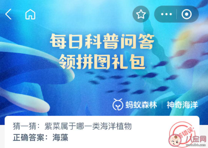 紫菜属于哪一类海洋植物 神奇海洋12月21日答案 紫菜属于哪一类海洋植物 神奇海洋12月21日答案