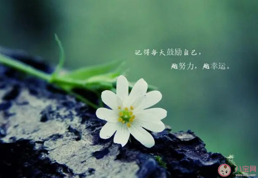 为什么年轻人不喜欢励志鸡汤了 如何看待励志鸡汤的存在 为什么年轻人不喜欢励志鸡汤了 如何看待励志鸡汤的存在