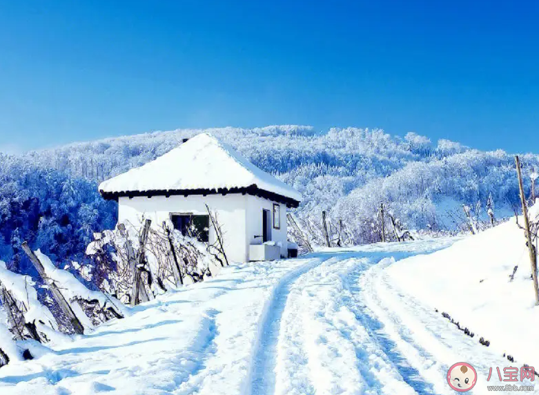 以下哪句古诗描写的是冬季美景 蚂蚁庄园12月26日答案 以下哪句古诗描写的是冬季美景 蚂蚁庄园12月26日答案