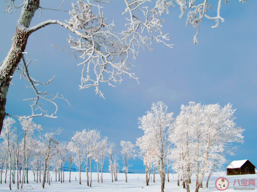 以下哪句古诗描写的是冬季美景 蚂蚁庄园12月26日答案 以下哪句古诗描写的是冬季美景 蚂蚁庄园12月26日答案