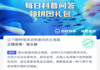 以下哪种海洋动物喜欢跃出海面 神奇海洋12月25日答案