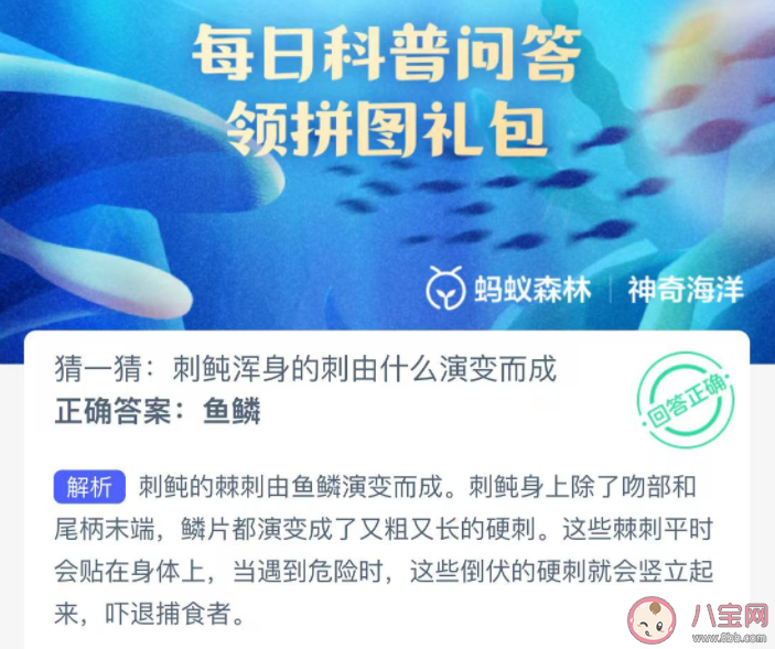 刺鲀浑身的刺由什么演变而成 神奇海洋12月26日答案 刺鲀浑身的刺由什么演变而成 神奇海洋12月26日答案