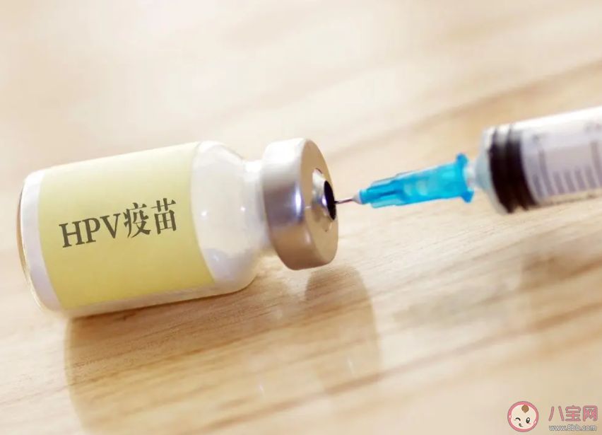 HPV疫苗需要纠结几价吗 HPV疫苗婚前还是婚后接种 HPV疫苗需要纠结几价吗 HPV疫苗婚前还是婚后接种