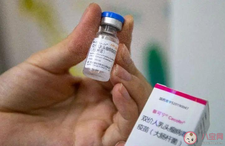 HPV疫苗需要纠结几价吗 HPV疫苗婚前还是婚后接种 HPV疫苗需要纠结几价吗 HPV疫苗婚前还是婚后接种