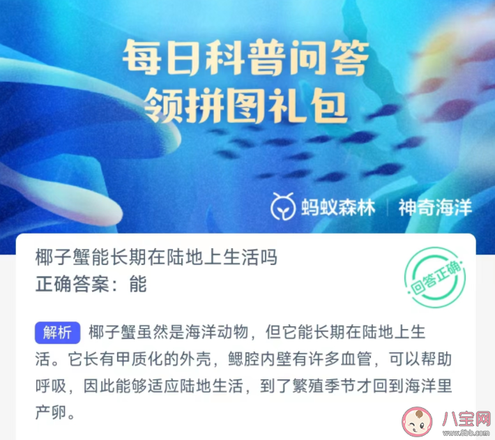 椰子蟹能长期在陆地上生活吗 神奇海洋12月28日答案 椰子蟹能长期在陆地上生活吗 神奇海洋12月28日答案