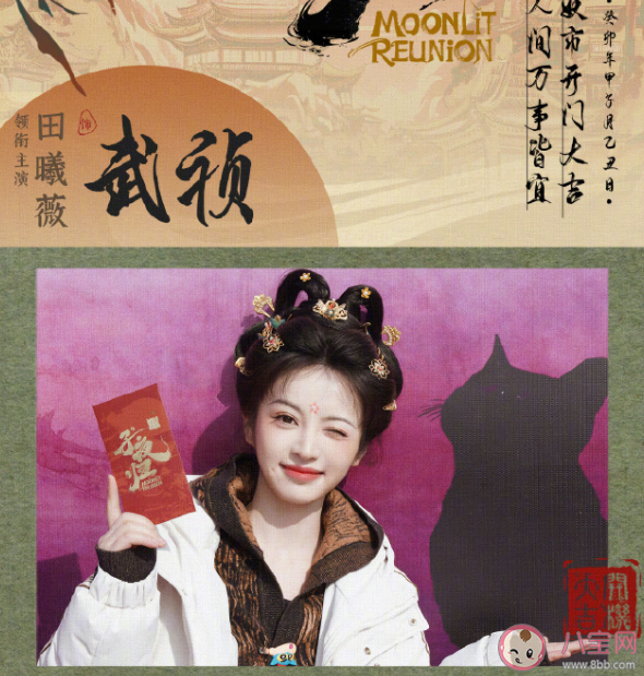 《子夜归》原著小说是什么 《子夜归》剧情讲的什么