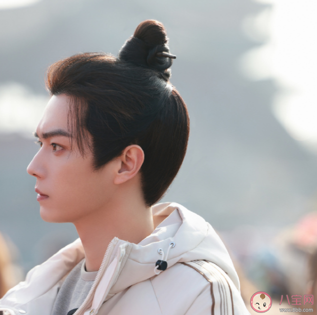 《子夜归》原著小说是什么 《子夜归》剧情讲的什么